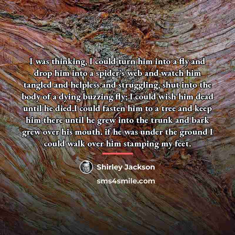 “I was thinking, I could turn him into a fly…” quote by Shirley Jackson