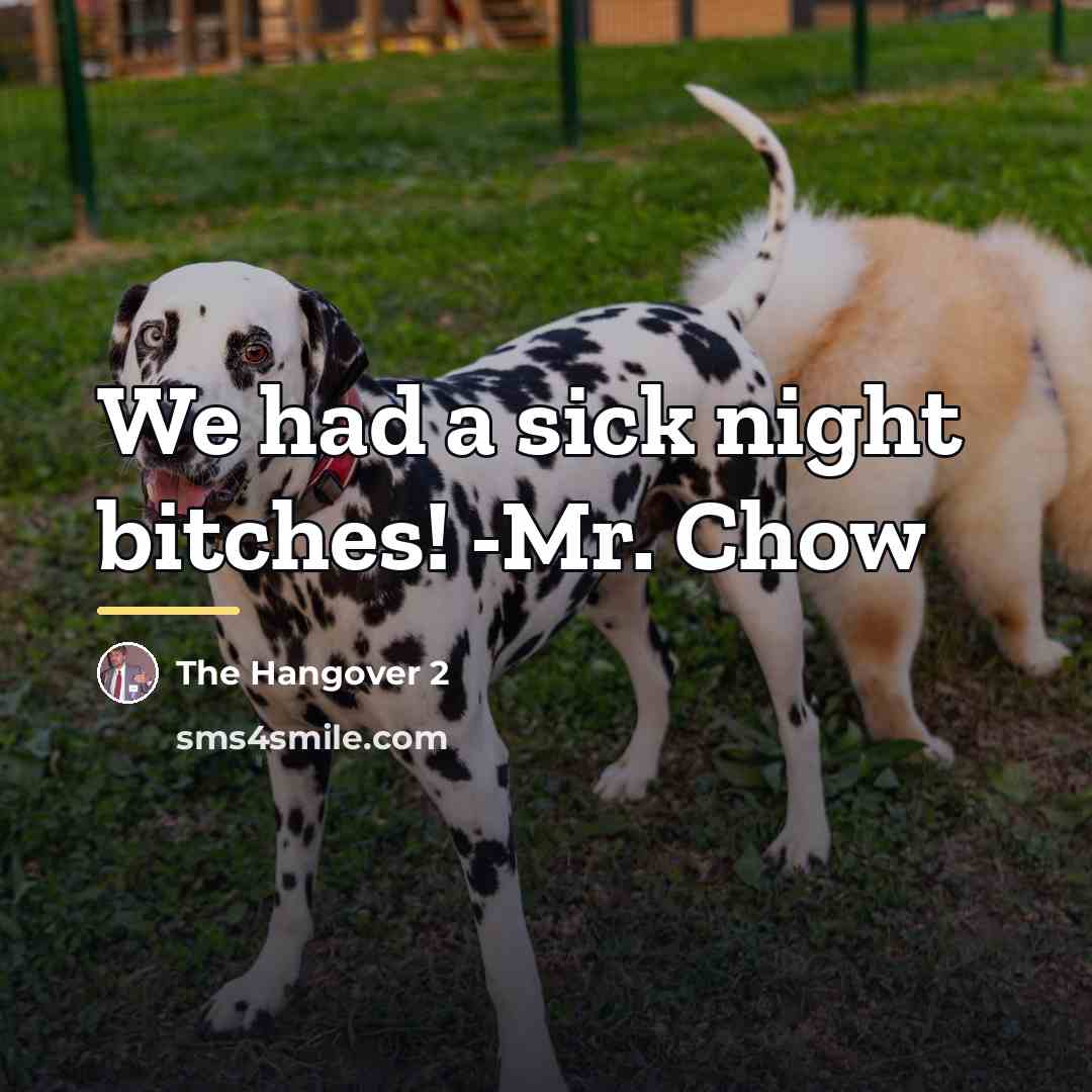 “We had a sick night bitches! -Mr. Chow…” quote by The Hangover 2