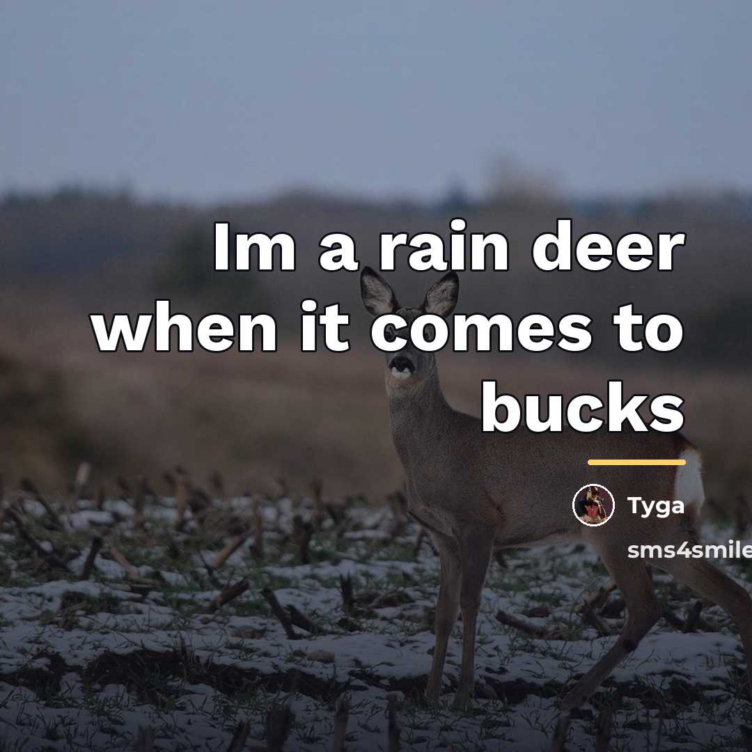 “Im a rain deer when it comes to bucks…” quote by Tyga
