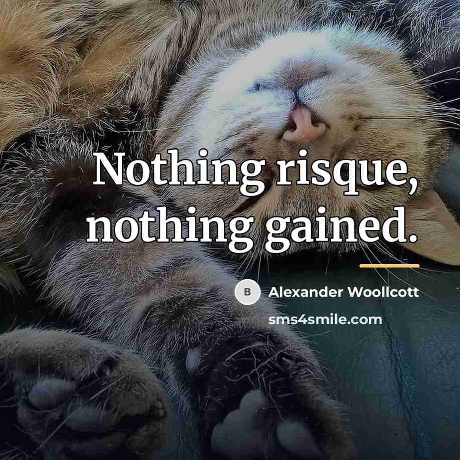 “Nothing risque, nothing gained.…” quote by Alexander Woollcott