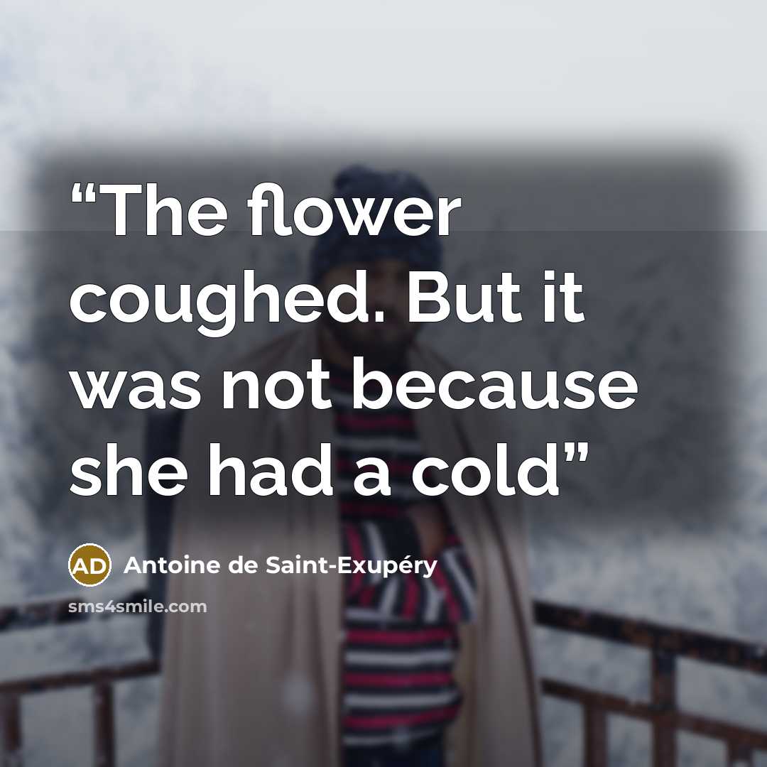 “The flower coughed. But it was not because she had a cold” quote by Antoine de Saint-Exupéry