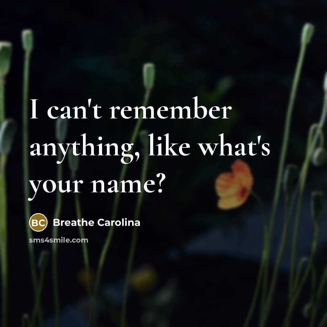 “I can't remember anything, like what's your name?…” quote by Breathe Carolina