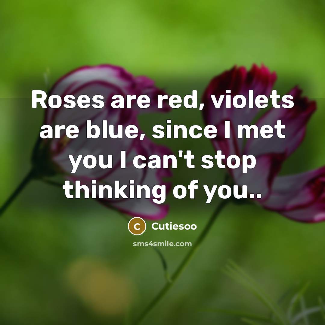 “Roses are red, violets are blue, since I met you I can't stop thinking of you..” quote by Cutiesoo