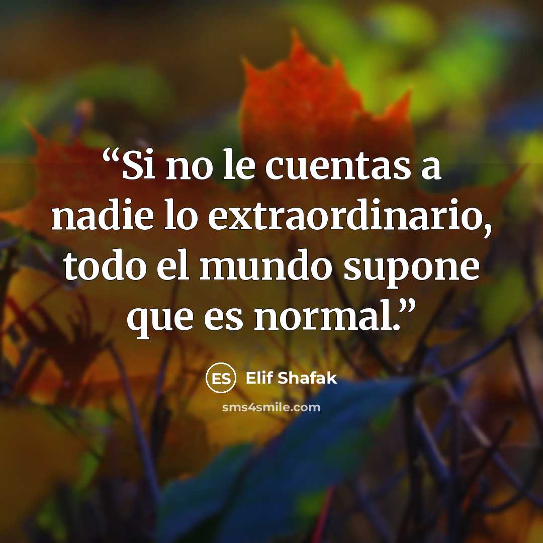 “Si no le cuentas a nadie lo extraordinario, todo el mundo supone que es normal.” quote by Elif Shafak