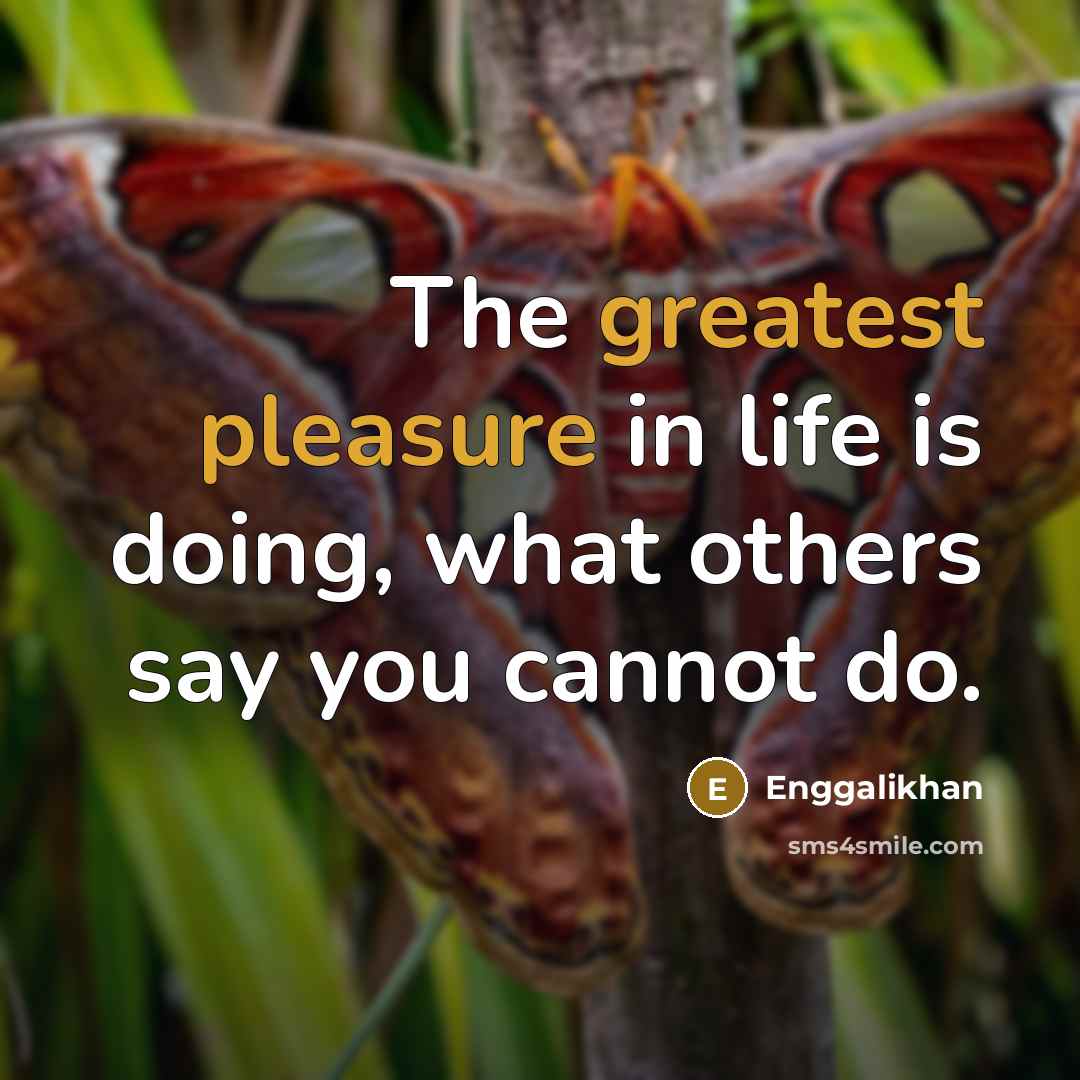 “The greatest pleasure in life is doing, what others say you cannot do.” quote by Enggalikhan