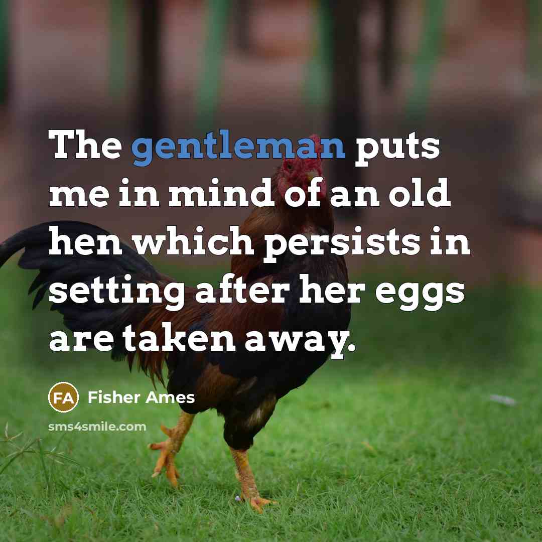 “The gentleman puts me in mind of an old hen which persists in setting after her eggs are taken away.” quote by Fisher Ames