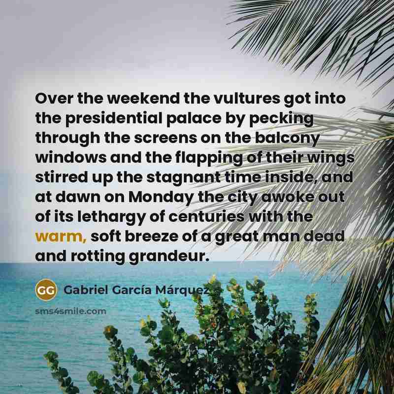 “Over the weekend the vultures got into the presidential palace…” quote by Gabriel Garcia Marquez