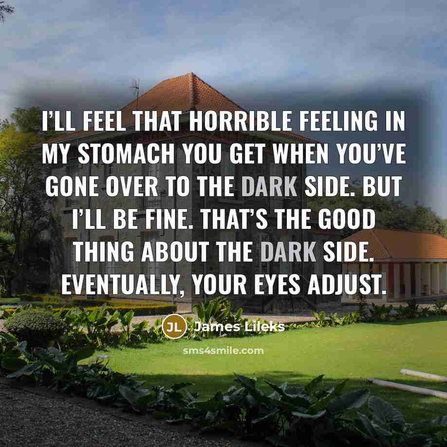 “I’ll feel that horrible feeling in my stomach you get…” quote by James Lileks