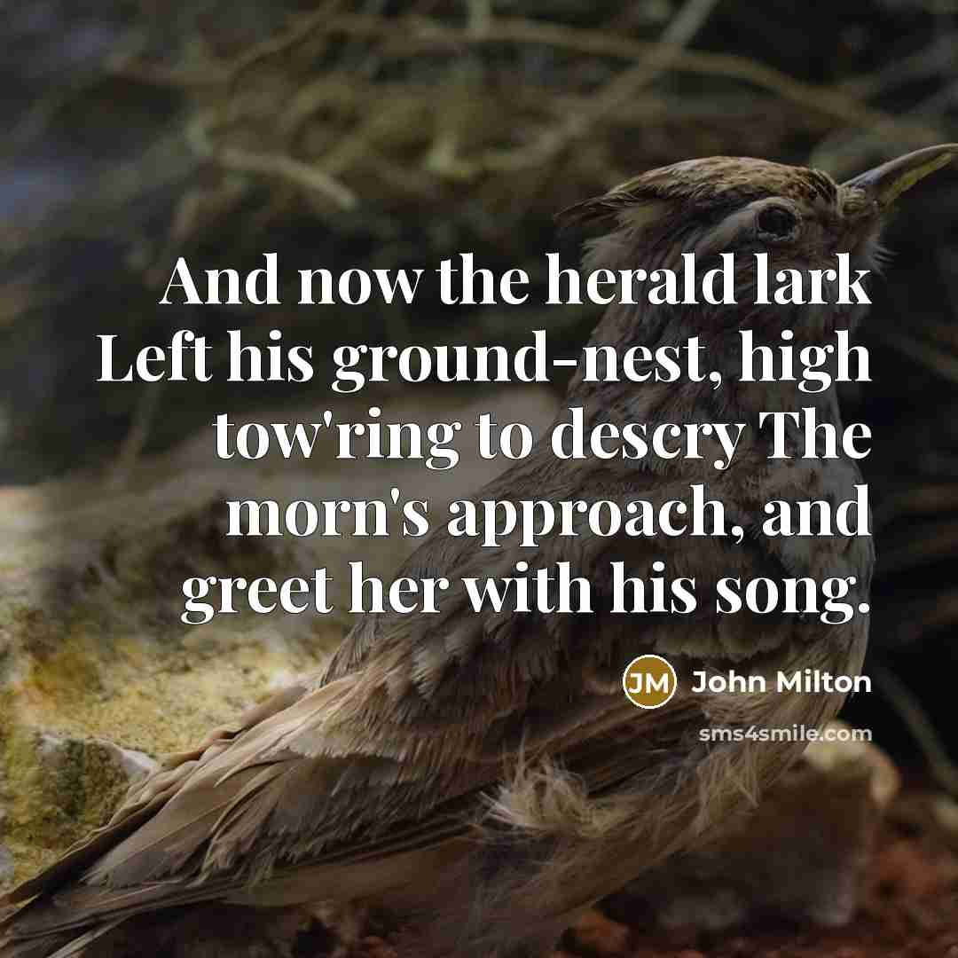 “And now the herald lark Left his ground-nest, high tow'ring…” quote by John Milton