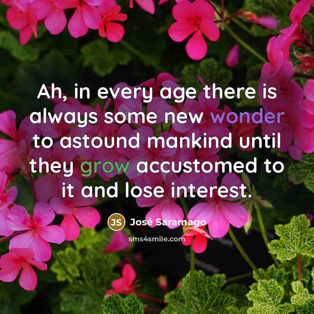 “Ah, in every age there is always some new wonder…” quote by Jose Saramago