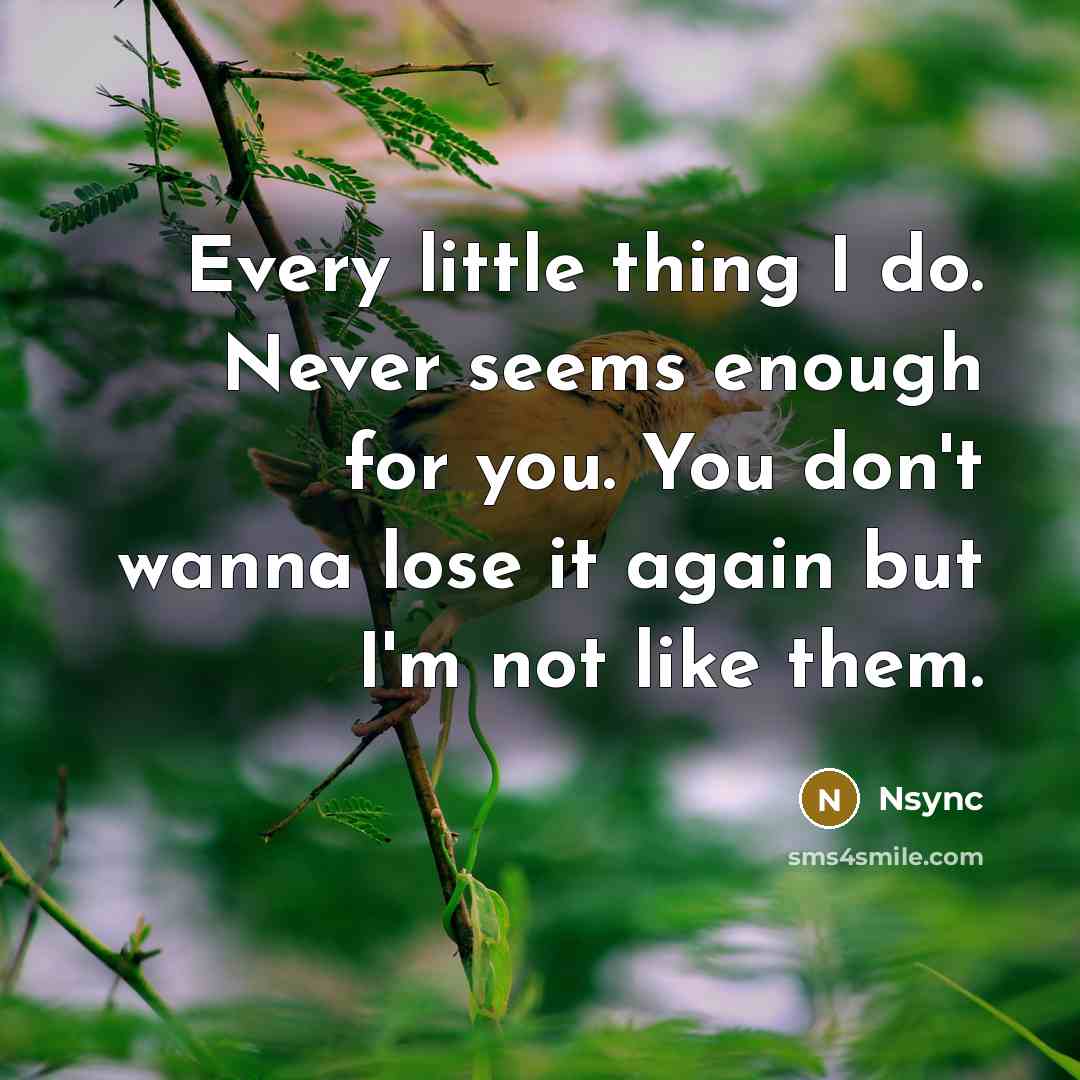 “Every little thing I do. Never seems enough for you.…” quote by Nsync