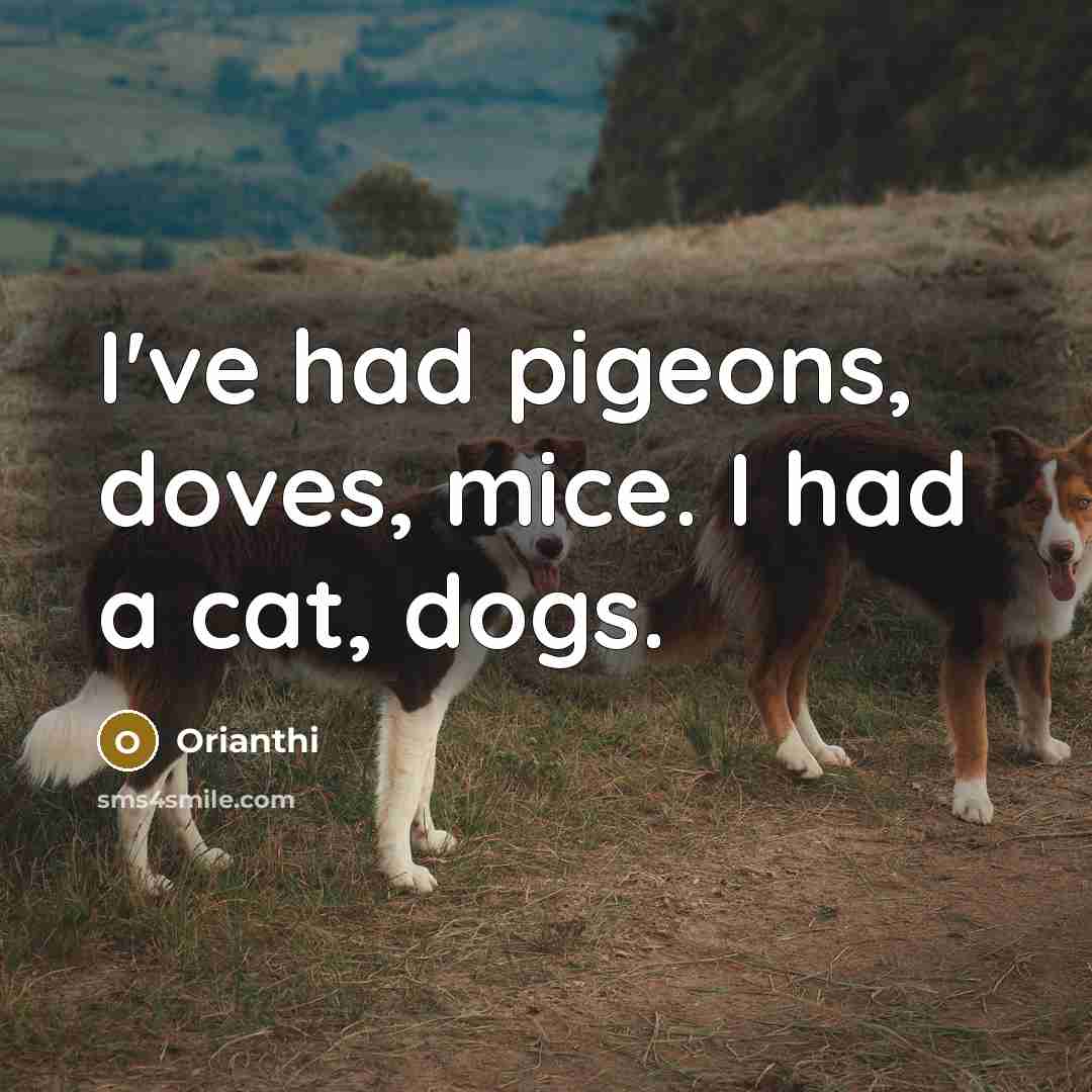 “I've had pigeons, doves, mice. I had a cat, dogs.…” quote by Orianthi