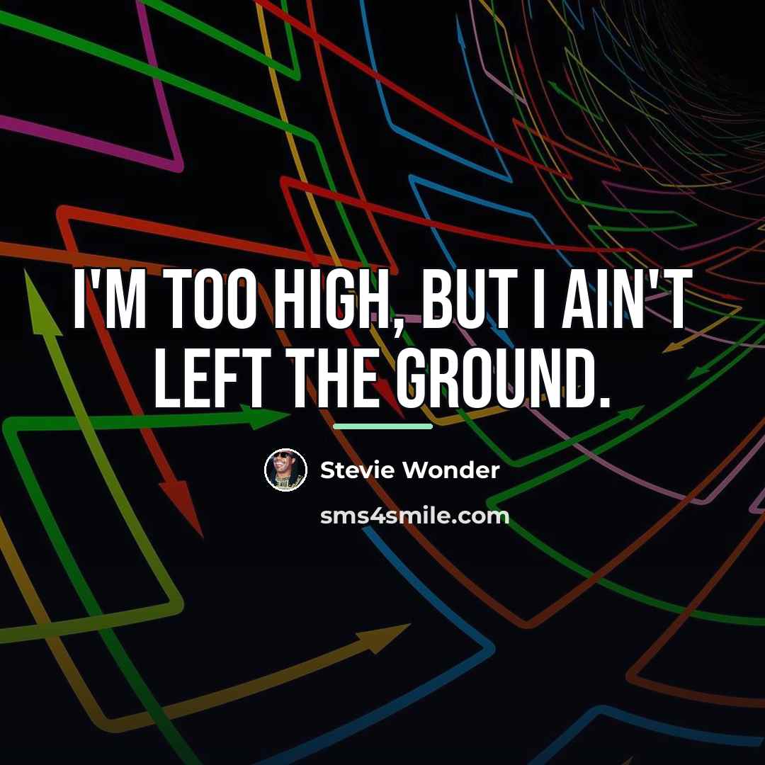 “I'm too high, but I ain't left the ground.…” quote by Stevie Wonder
