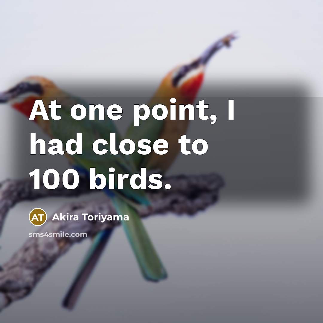 “At one point, I had close to 100 birds.…” quote by Akira Toriyama