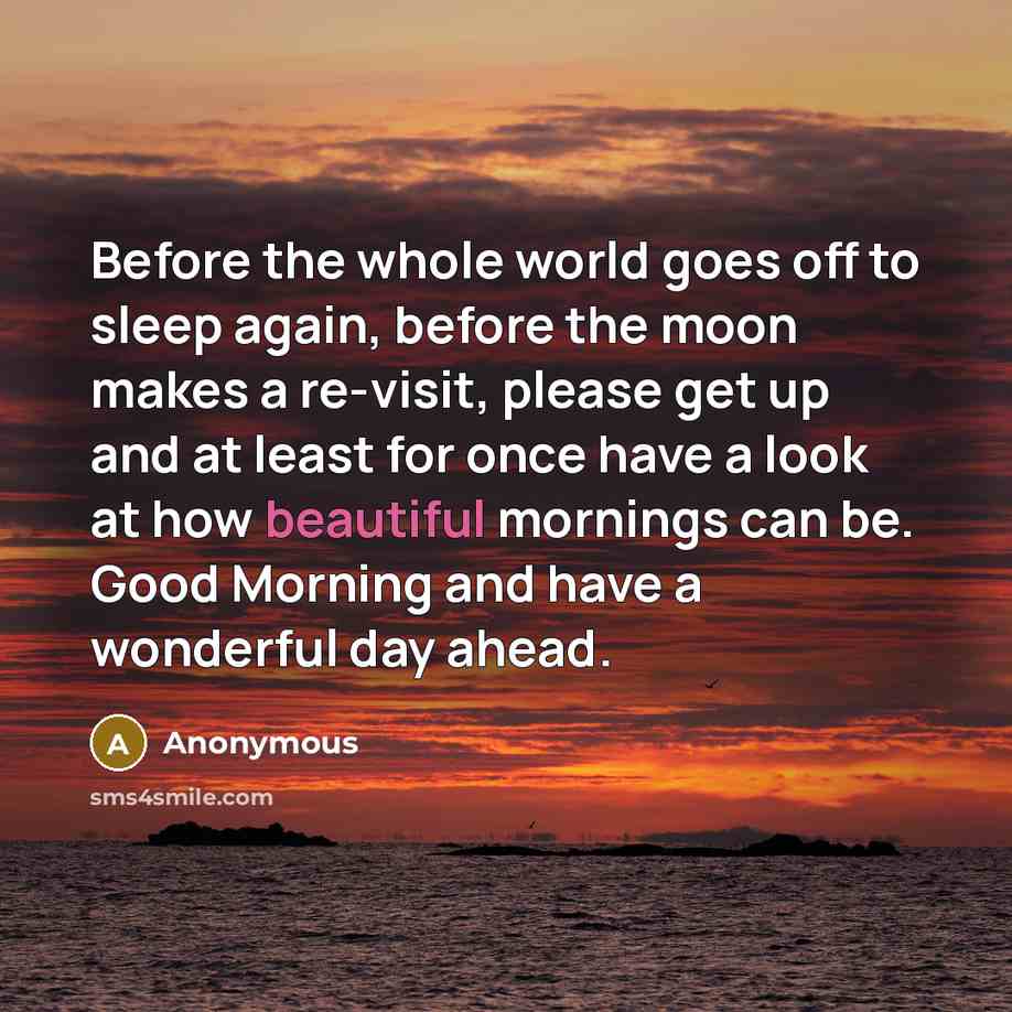 “Before the whole world goes off to sleep again, before the moon makes a re-visit, please get up and at least for once have a look at how beautiful mornings can be. Good Morning and have a wonderful day ahead.” quote by Anonymous
