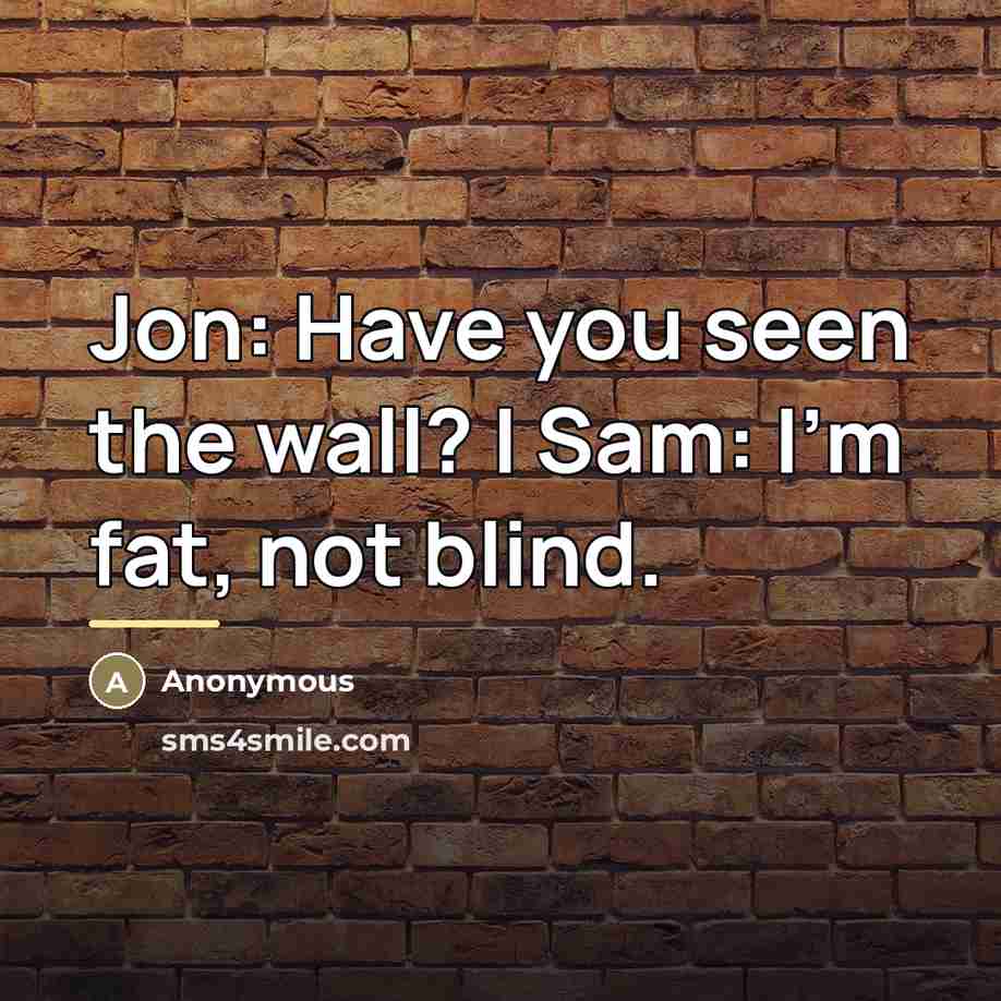 “Jon: Have you seen the wall? | Sam: I'm fat,…” quote by Anonymous