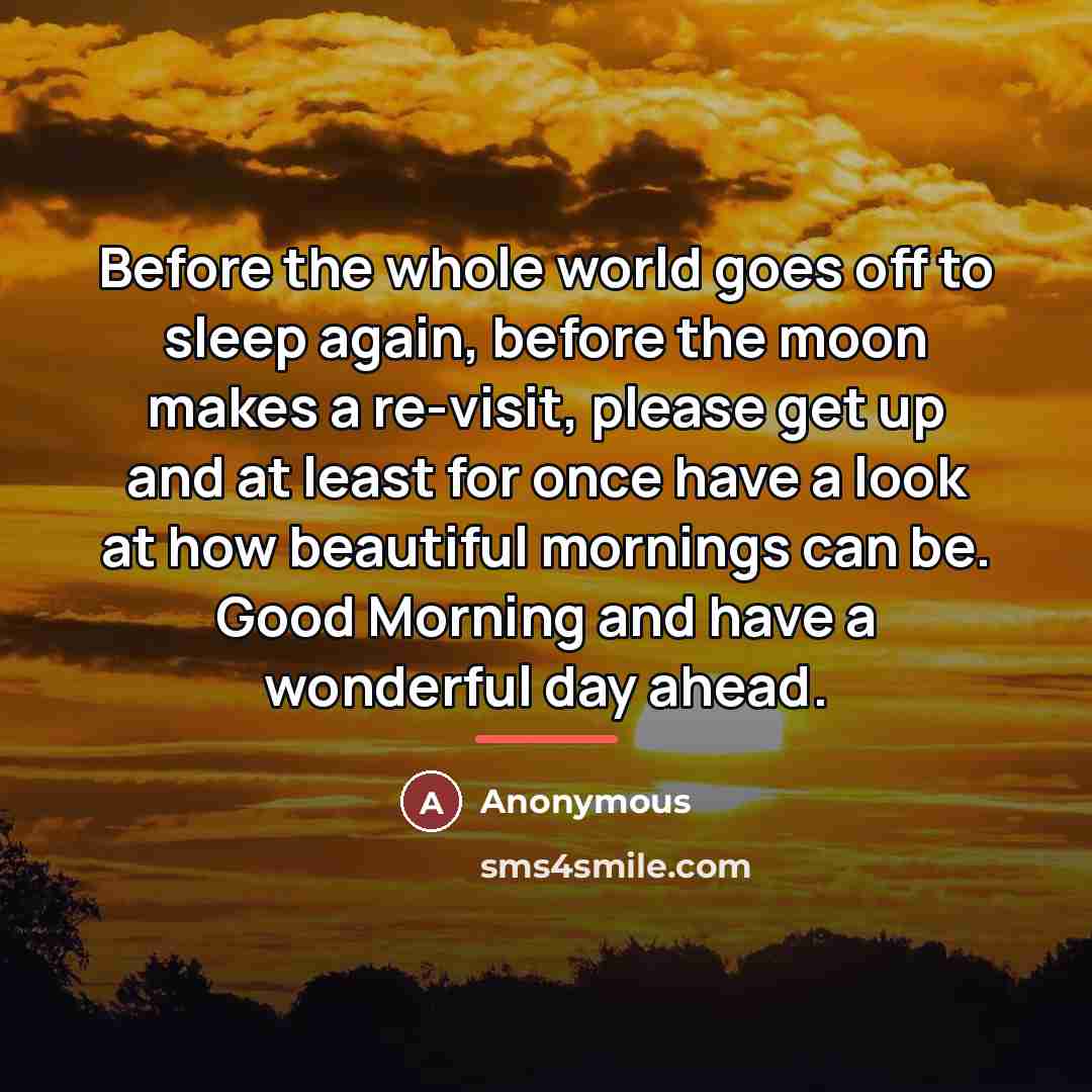 “Before the whole world goes off to sleep again, before…” quote by Anonymous