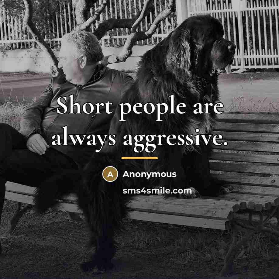 “Short people are always aggressive.…” quote by Anonymous