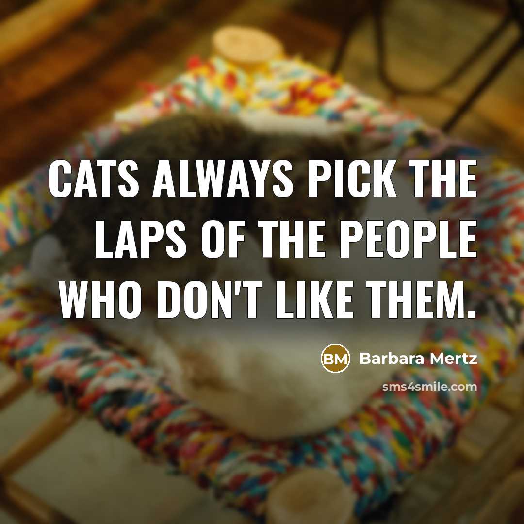 “Cats always pick the laps of the people who don't…” quote by Barbara Mertz
