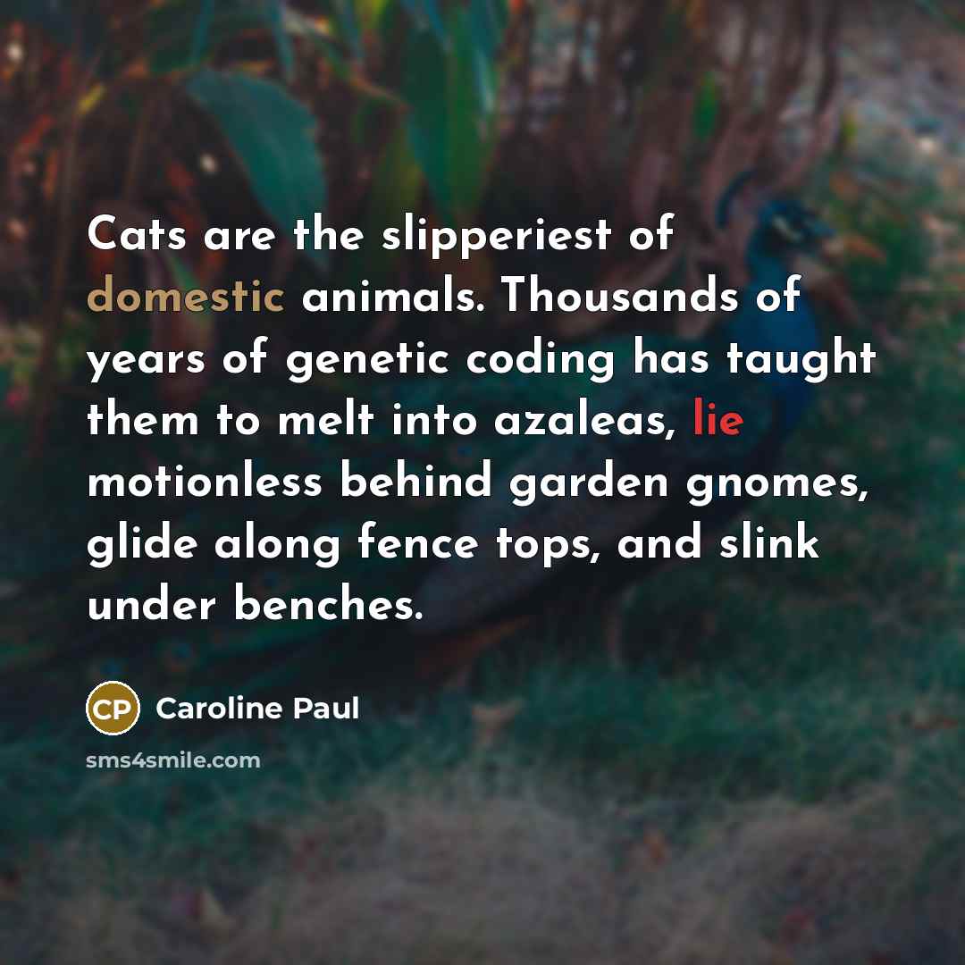“Cats are the slipperiest of domestic animals. Thousands of years…” quote by Caroline Paul