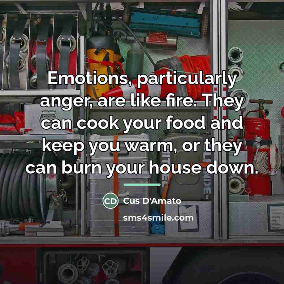 “Emotions, particularly anger, are like fire. They can cook your…” quote by Cus D'Amato