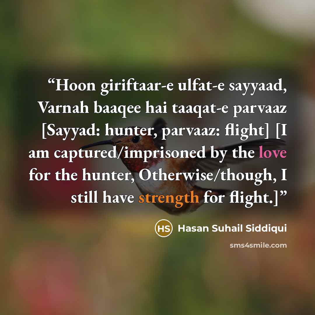 “Hoon giriftaar-e ulfat-e sayyaad, Varnah baaqee hai taaqat-e parvaaz [Sayyad: hunter, parvaaz: flight] [I am captured/imprisoned by the love for the hunter, Otherwise/though, I still have strength for flight.]” quote by Hasan Suhail Siddiqui