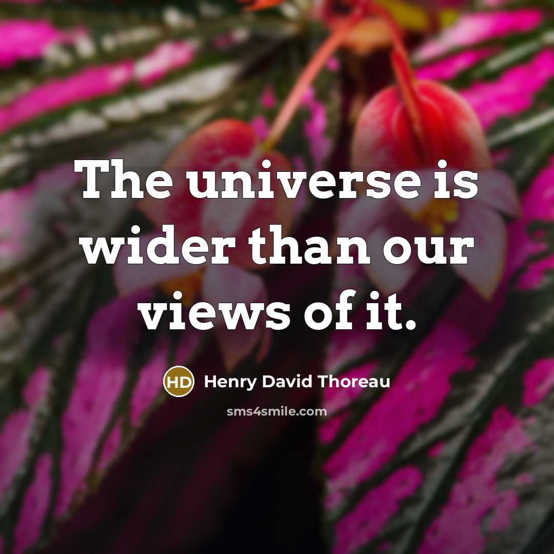 “The universe is wider than our views of it.…” quote by Henry David Thoreau