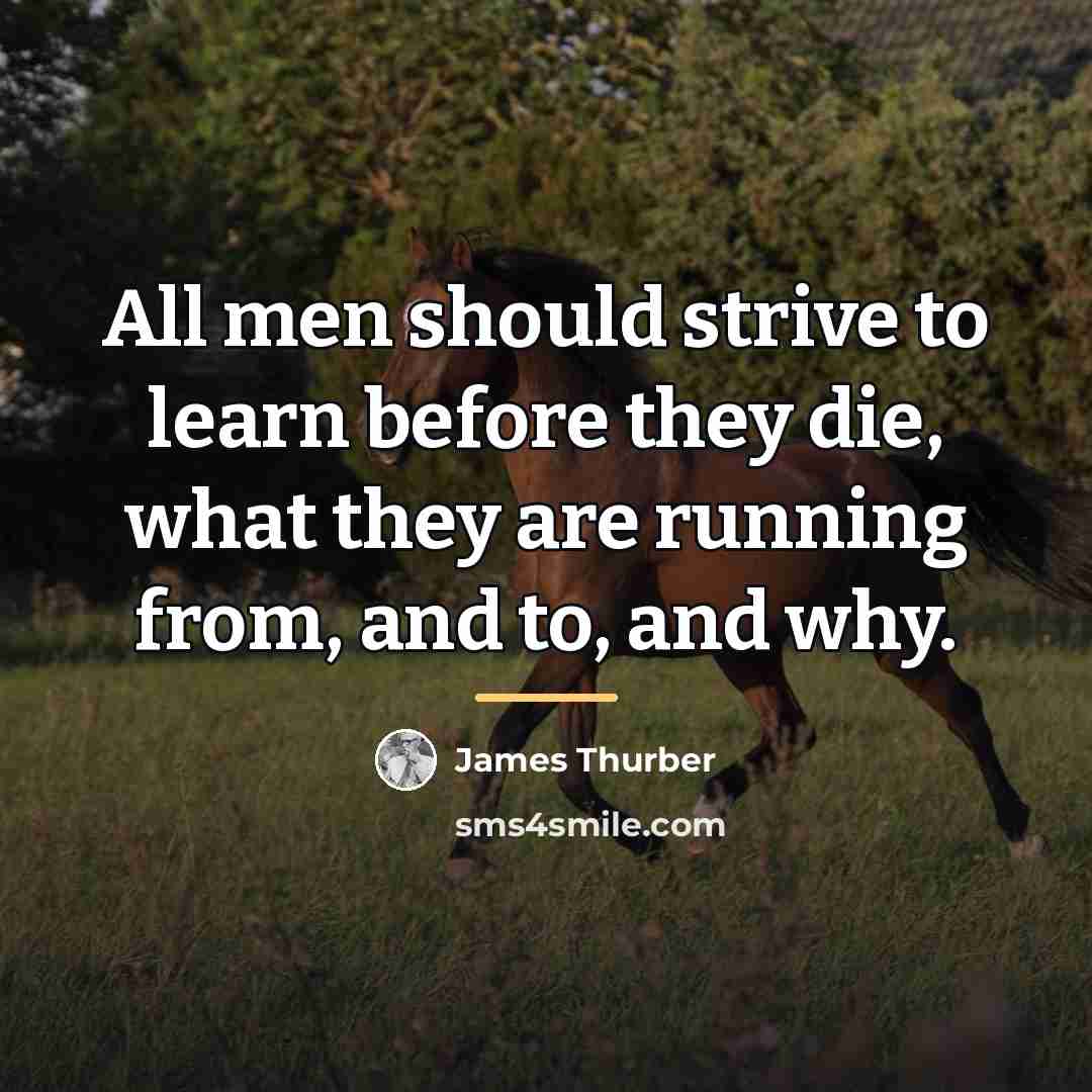 “All men should strive to learn before they die, what…” quote by James Thurber