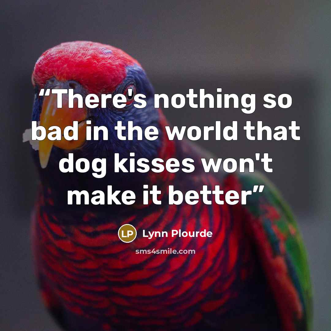“There's nothing so bad in the world that dog kisses won't make it better” quote by Lynn Plourde