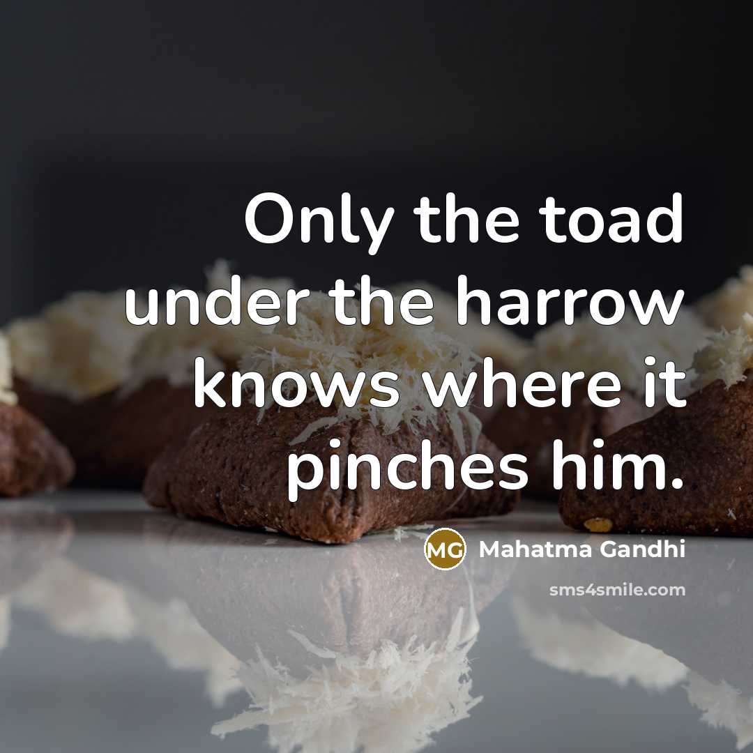 “Only the toad under the harrow knows where it pinches…” quote by Mahatma Gandhi