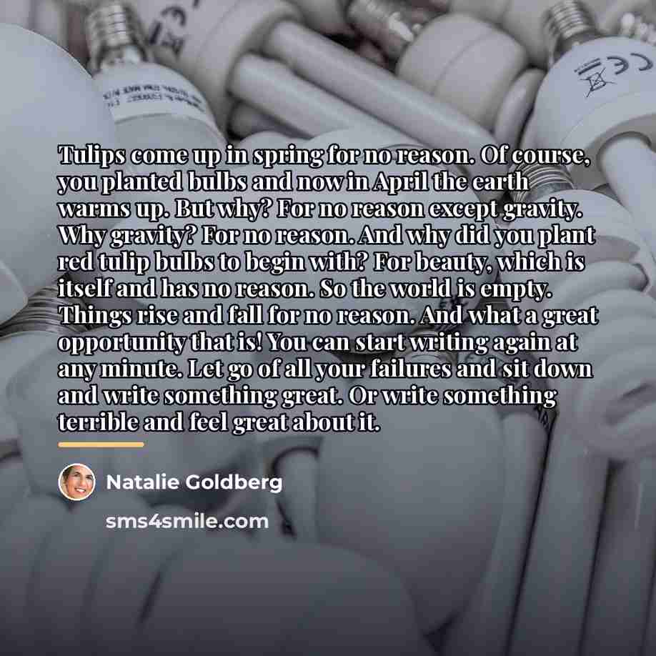 “Tulips come up in spring for no reason. Of course,…” quote by Natalie Goldberg