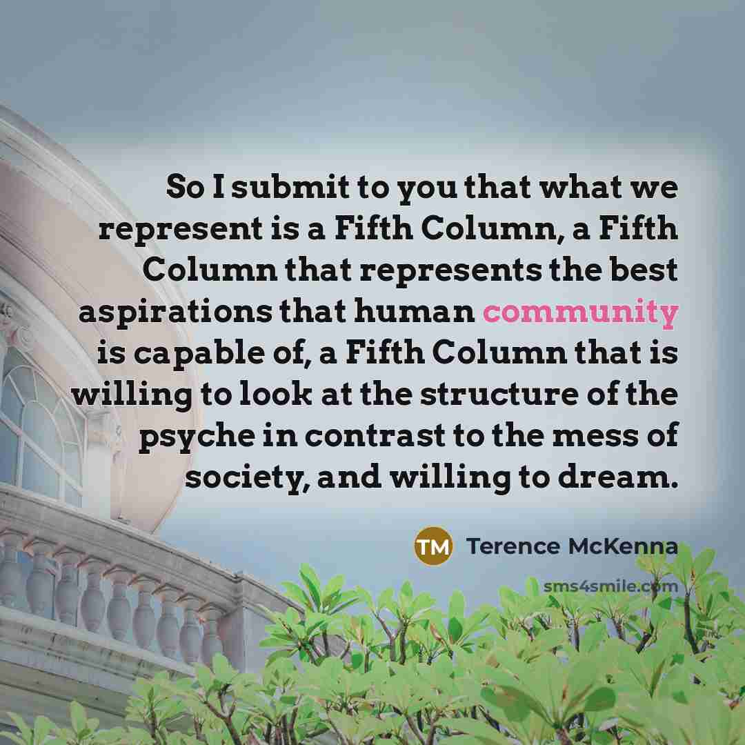 “So I submit to you that what we represent is…” quote by Terence McKenna