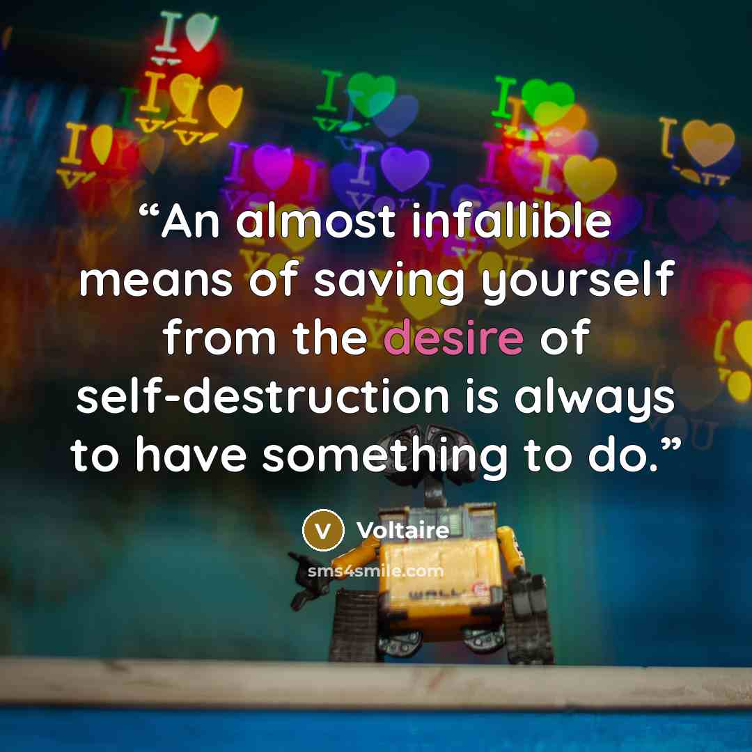“An almost infallible means of saving yourself from the desire of self-destruction is always to have something to do.” quote by Voltaire