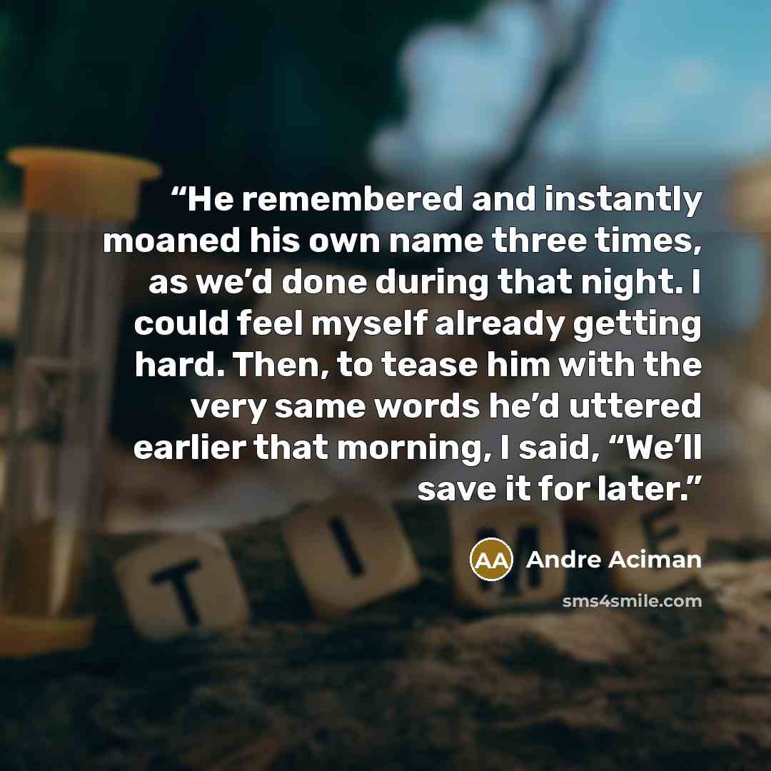 “He remembered and instantly moaned his own name three times, as we’d done during that night. I could feel myself already getting hard. Then, to tease him with the very same words he’d uttered earlier that morning, I said, “We’ll save it for later.” quote by André Aciman