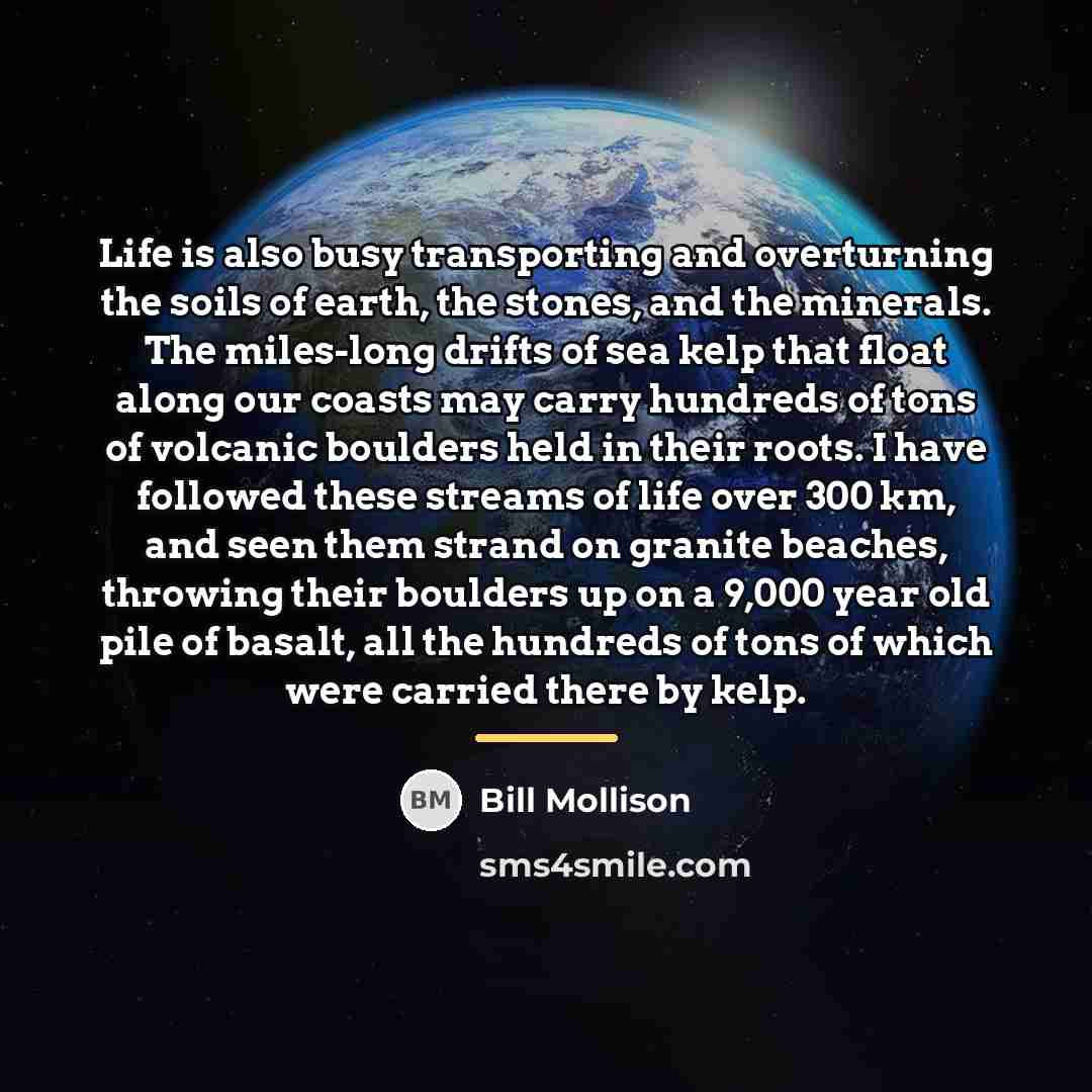 “Life is also busy transporting and overturning the soils of…” quote by Bill Mollison