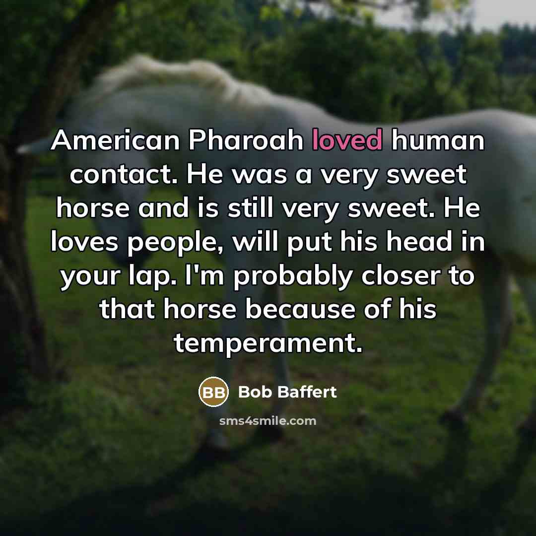 “American Pharoah loved human contact. He was a very sweet…” quote by Bob Baffert