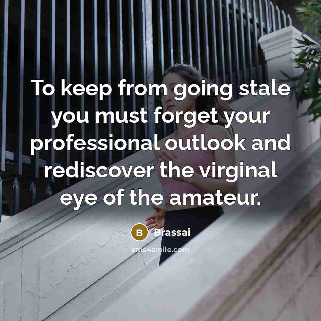 “To keep from going stale you must forget your professional…” quote by Brassai