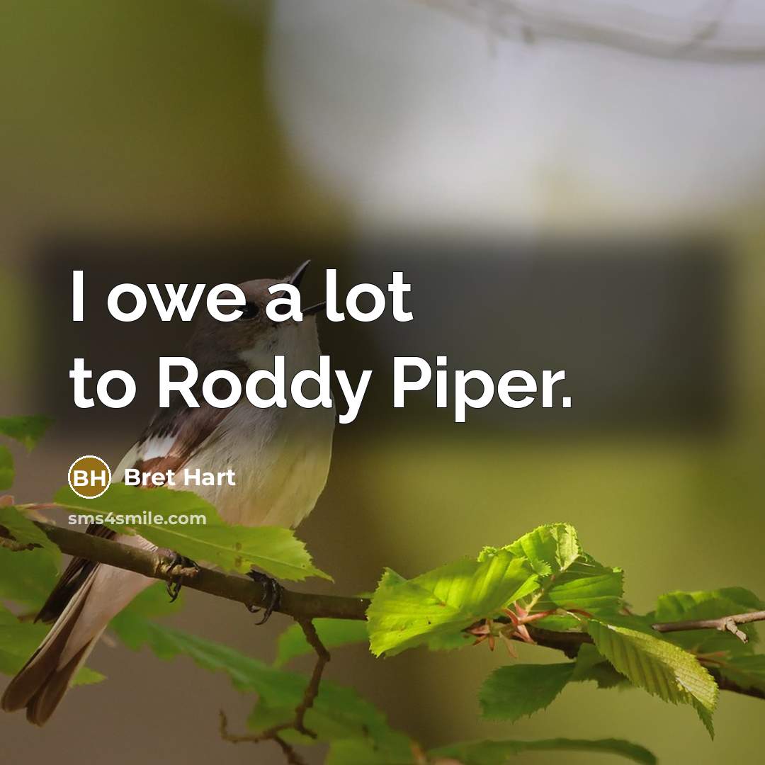 “I owe a lot to Roddy Piper.…” quote by Bret Hart