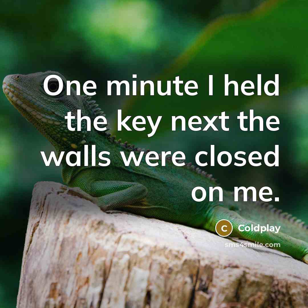 “One minute I held the key next the walls were…” quote by Coldplay