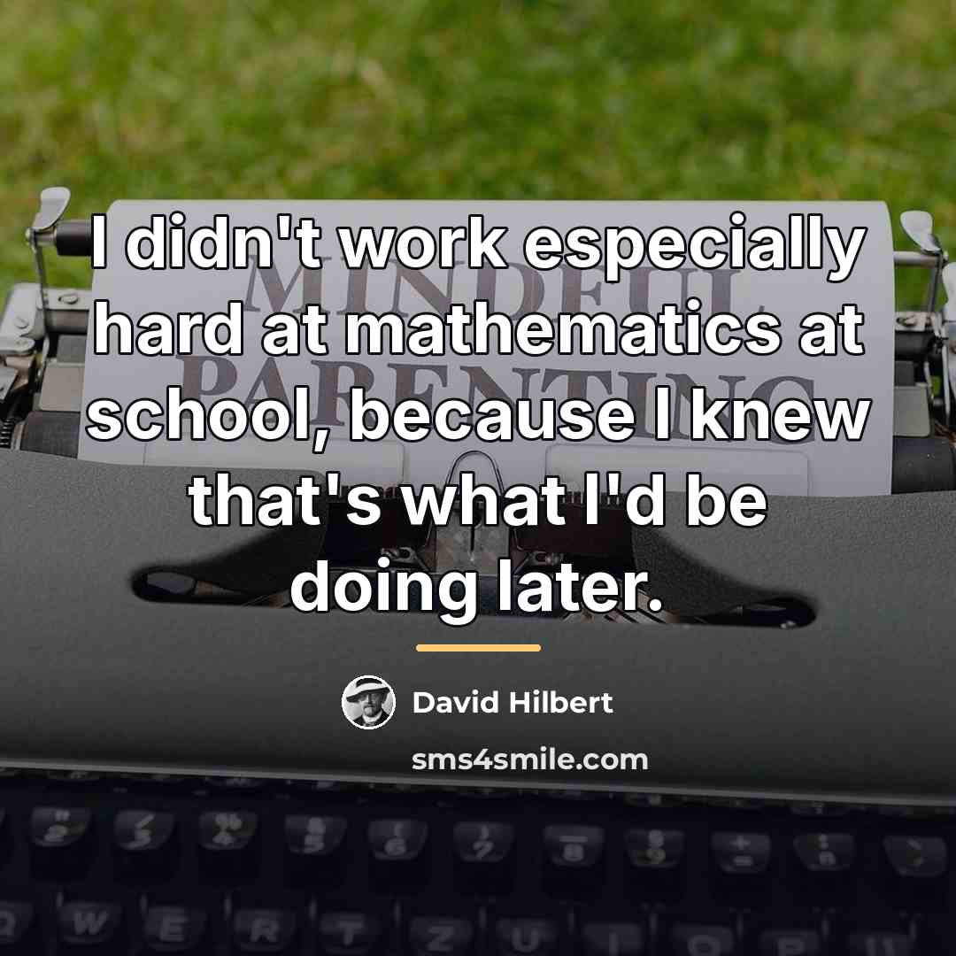 “I didn't work especially hard at mathematics at school, because…” quote by David Hilbert