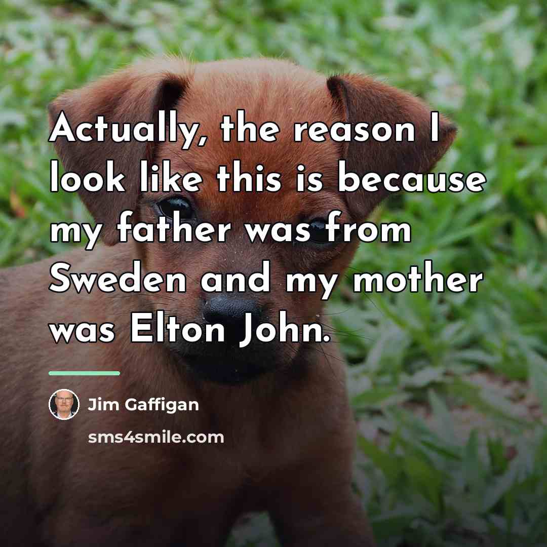 “Actually, the reason I look like this is because my…” quote by Jim Gaffigan