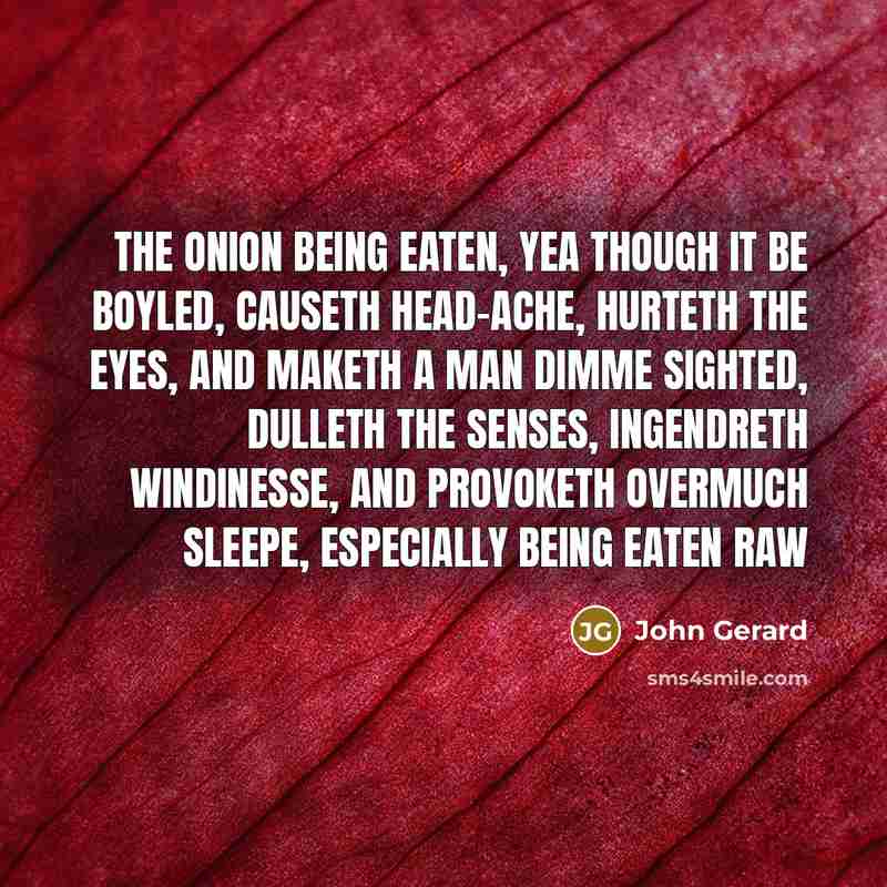 “The onion being eaten, yea though it be boyled, causeth…” quote by John Gerard