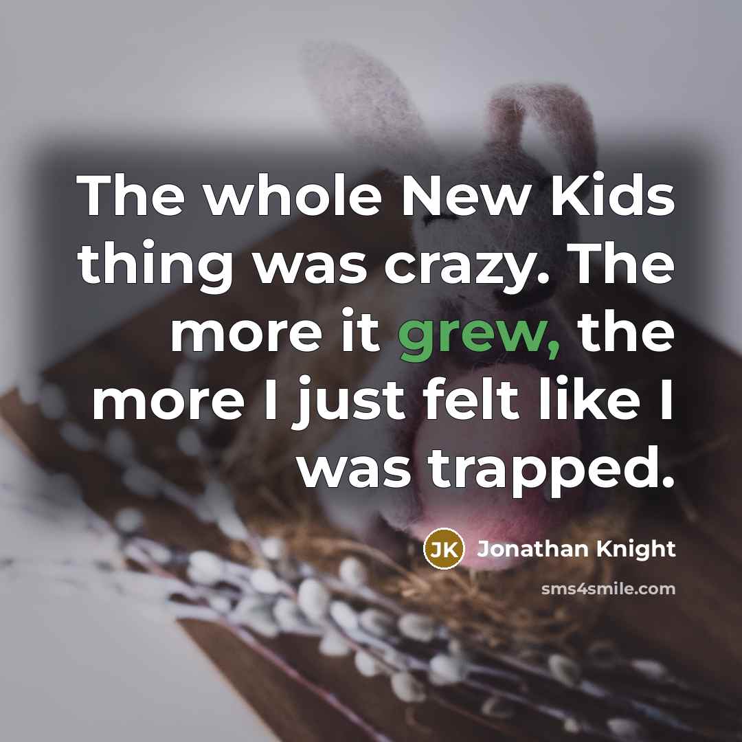 “The whole New Kids thing was crazy. The more it…” quote by Jonathan Knight