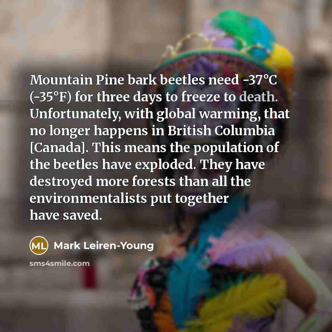 “Mountain Pine bark beetles need -37°C (-35°F) for three days…” quote by Mark Leiren-Young