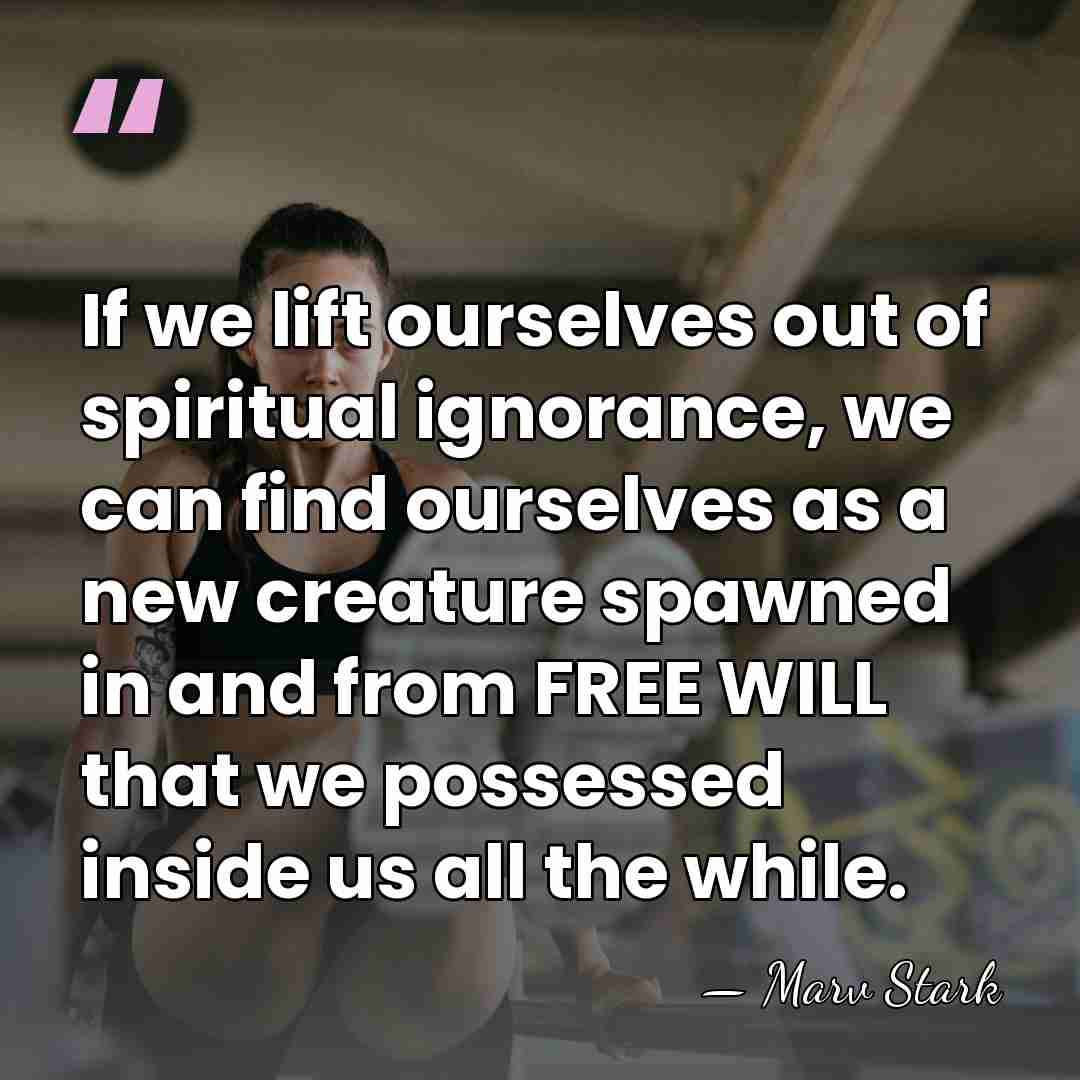 If we lift ourselves out of spiritual ignorance, we can find ourselves&hellip; - Marv Stark