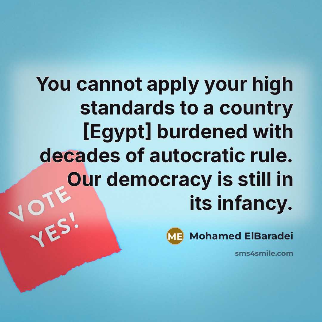 “You cannot apply your high standards to a country [Egypt]…” quote by Mohamed ElBaradei