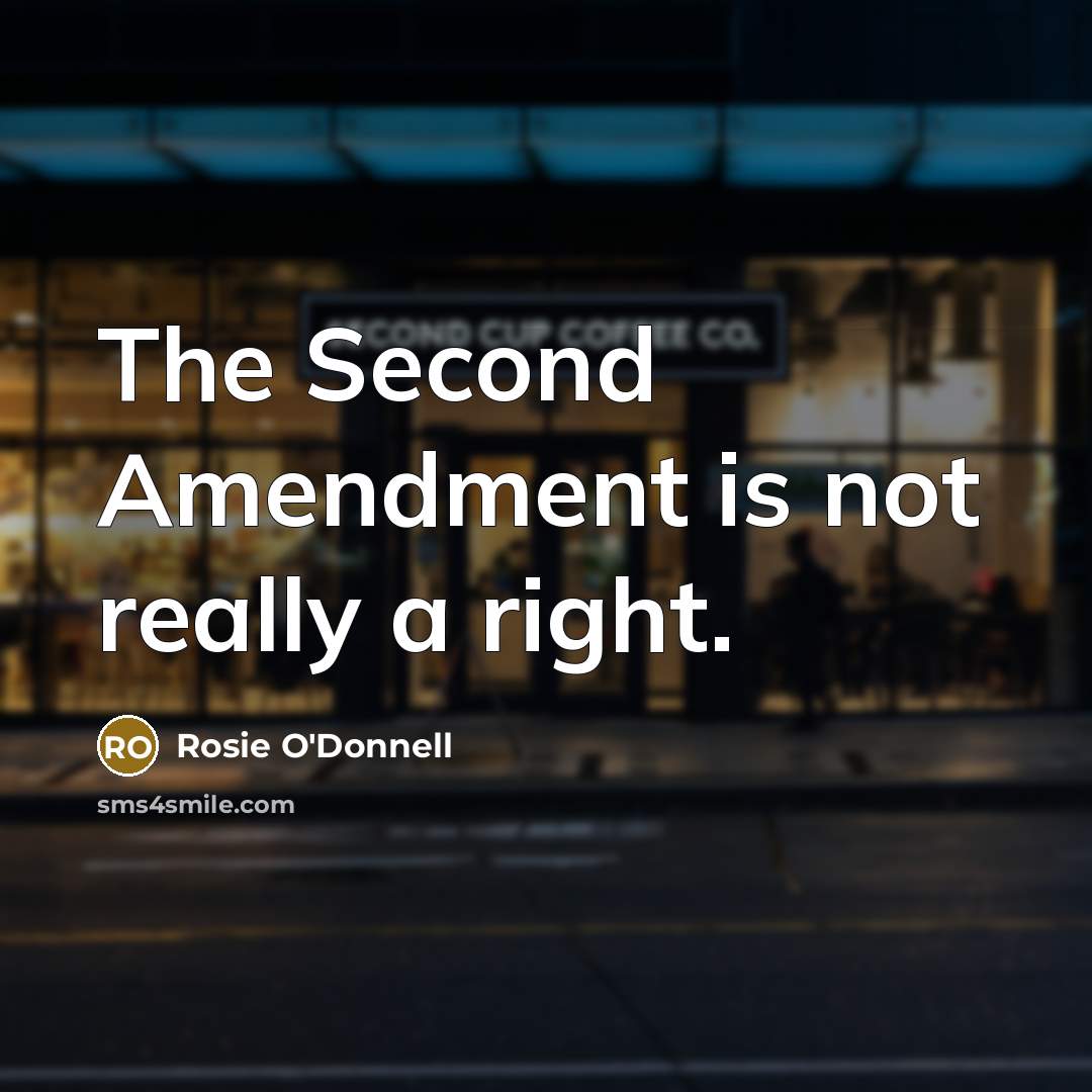 “The Second Amendment is not really a right.” quote by Rosie O'Donnell