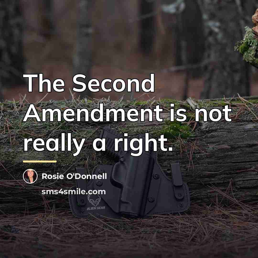 “The Second Amendment is not really a right.…” quote by Rosie O'Donnell