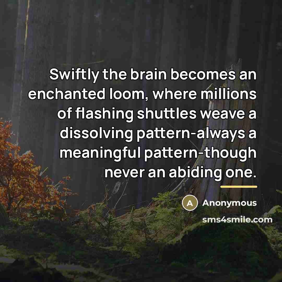 “Swiftly the brain becomes an enchanted loom, where millions of…” quote by Anonymous
