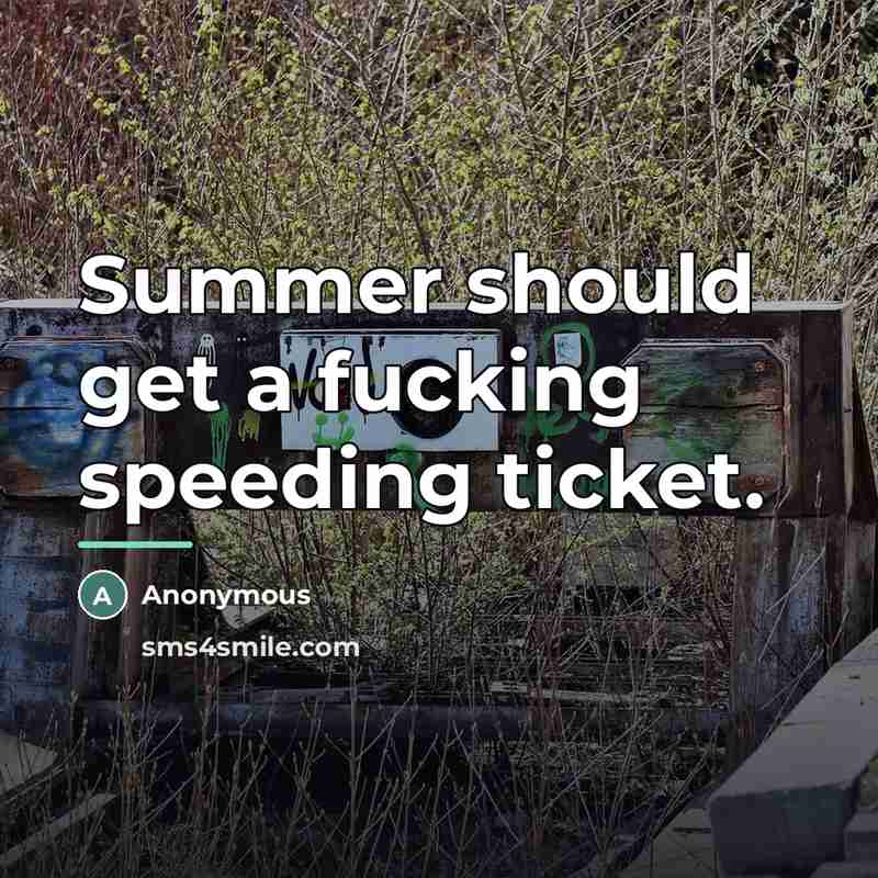 “Summer should get a fucking speeding ticket.…” quote by Anonymous